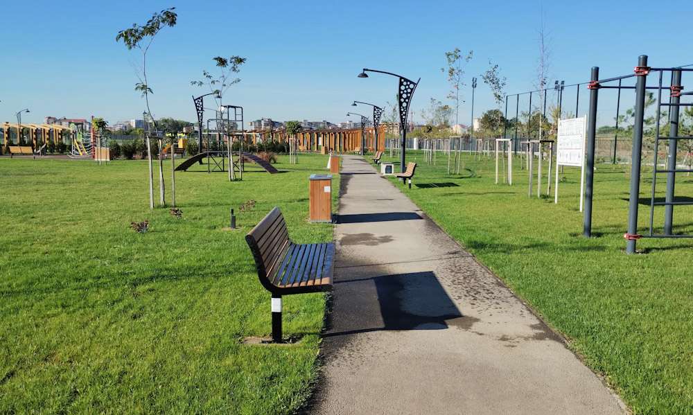 TÂRGOVIȘTE - Parcul de lângă Complexul Turistic de Natație, din groapă de gunoi, în oază de verdeață pentru târgovișteni