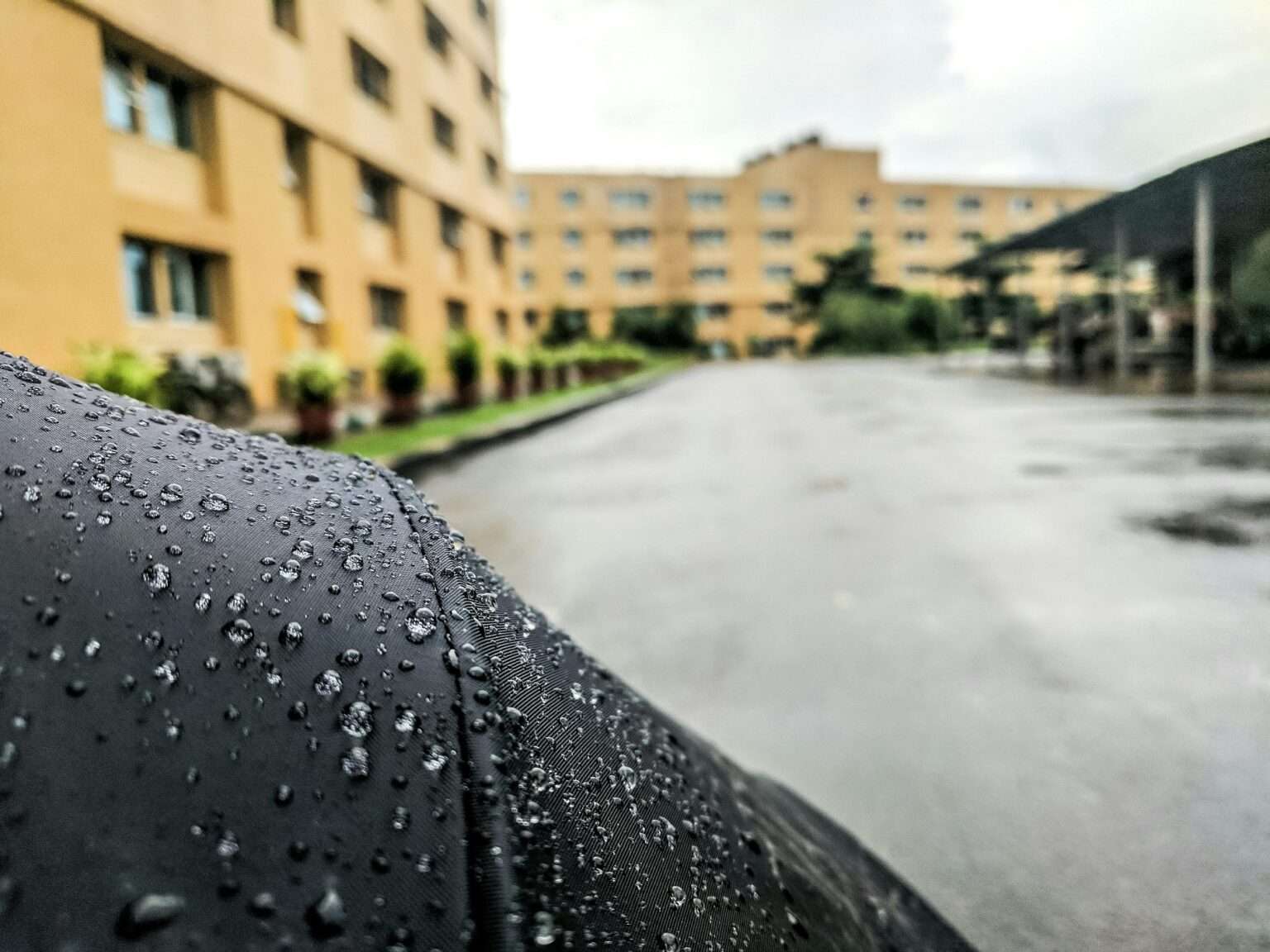 Toamna își intră în drepturi: scad temperaturile, revin ploile și bruma