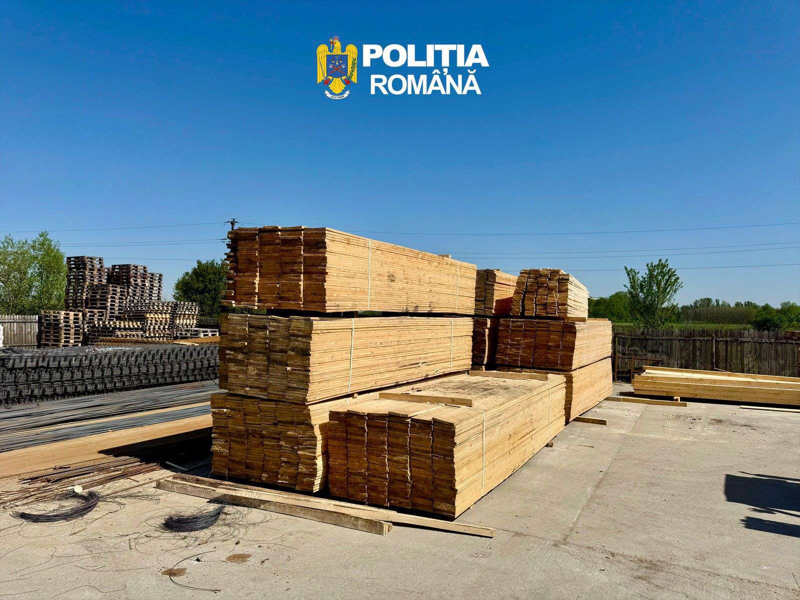 Camion prins în flagrant la Odobești cu lemn fără proveniență legală