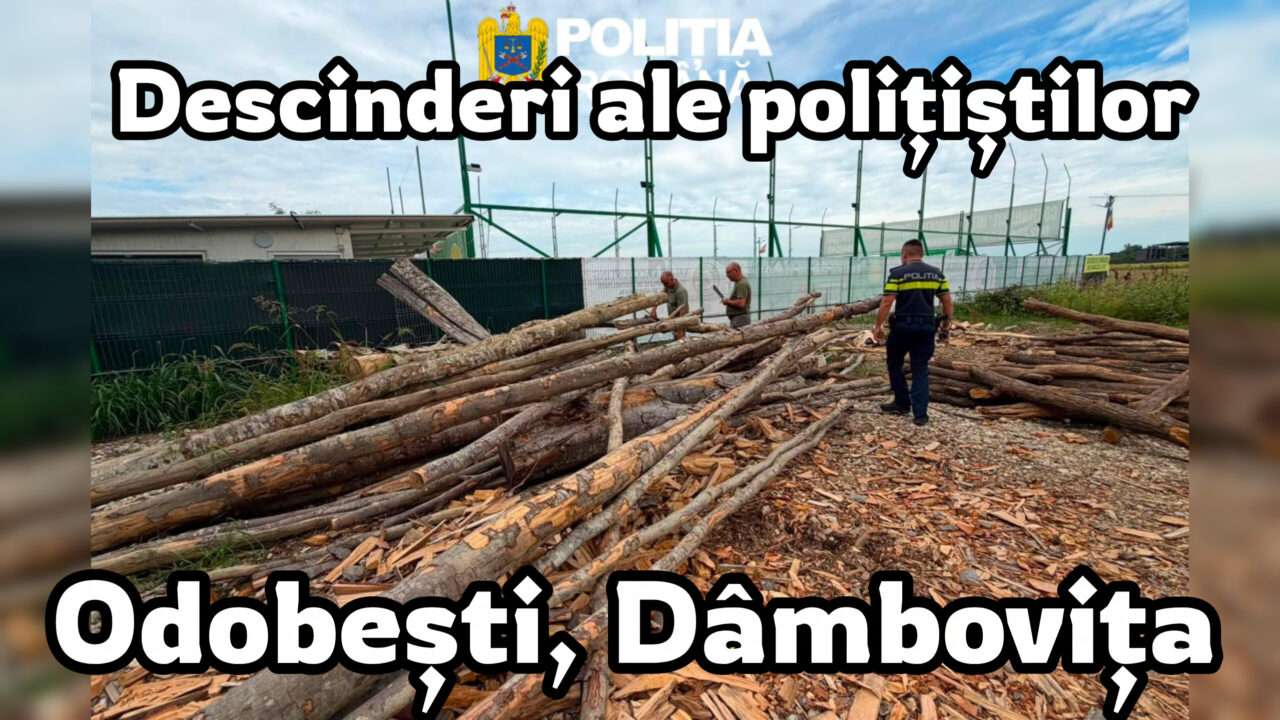 RAZIE ÎN AFACERILE CU LEMN! Polițiștii au descins la o firmă din Odobești: AMENDĂ de 5.000 de lei și peste 6 metri cubi de material lemnos CONFISCAȚI